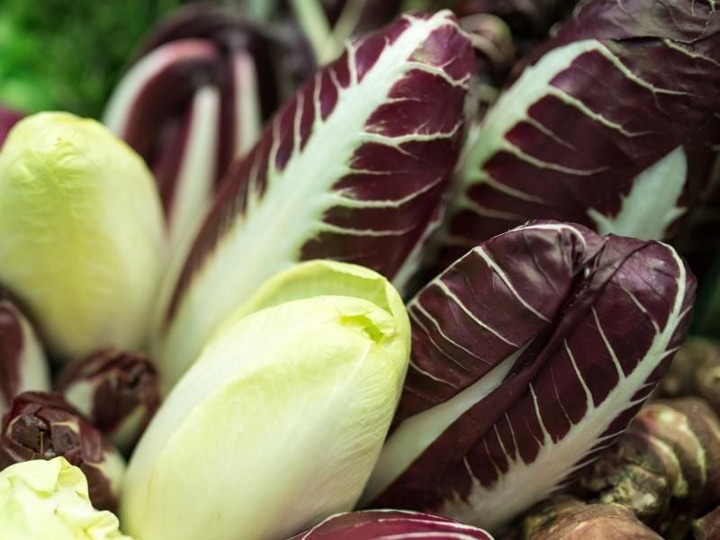 Radicchio ist violett und schmeckt etwas bitter. Aber er ist gesund, unter anderem weil er die Verdauung anregt. Foto: Florian Schuh/dpa-tmn