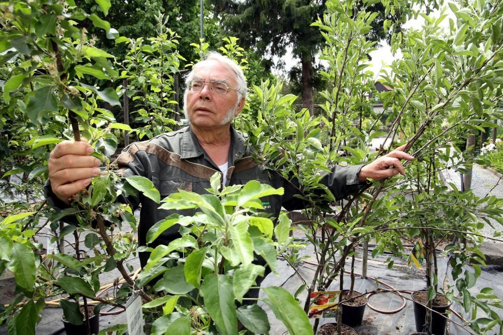 Viele Apfelbäume hat Bernd Nordmann nicht mehr bei sich stehen – Obstbäume wurden dieses Frühjahr besonders gern gekauft.