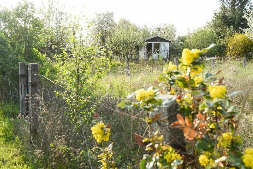 „Flora“ in Baasdorf gehört zu den Sorgenkindern. Von den 51 Kleingärten werden nur noch neun genutzt. Die anderen stehen leer und verwildern.