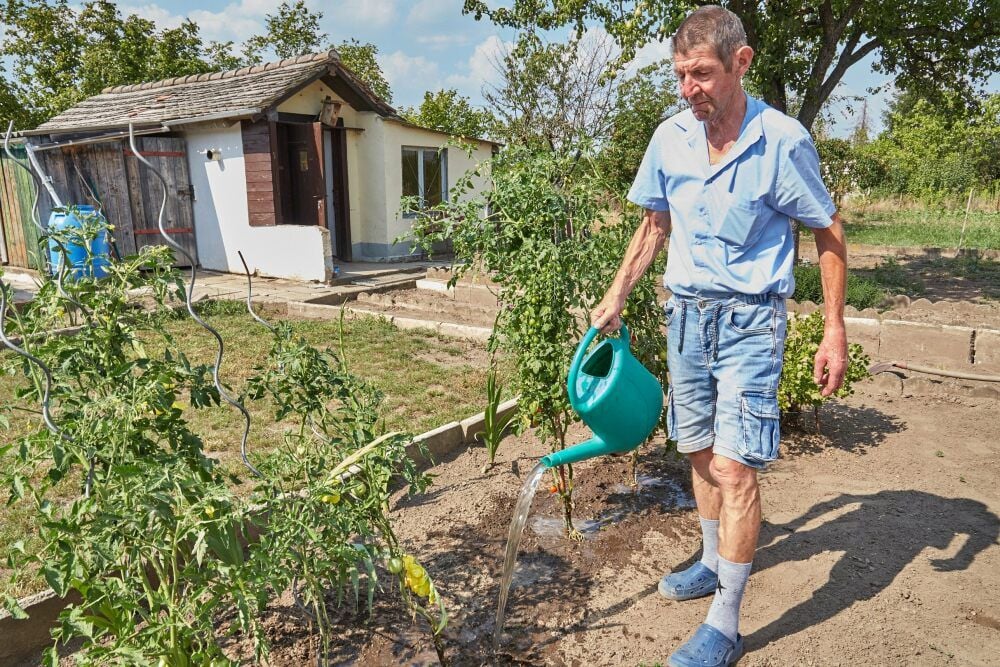 Die Arbeit in seinem Garten hat Arnold Zain geholfen, sich nach seinen krankheitsbedingten Rückschlägen wieder aufzurappeln.