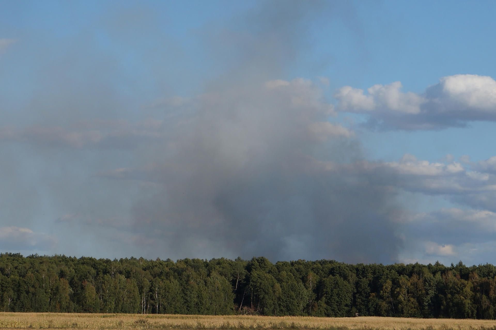 Dunkle Rauchwolken sind über einem Waldstück bei Jüterbog zu sehen. In der Nähe des Großbrandes Treuenbrietzen brennen seit dem frühen Abend etwa 240 Hektar Waldgebiet auf dem ehemaligen Schießplatz Jüterbog-West.