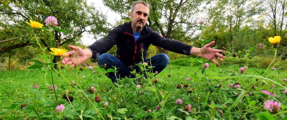 Diese blütenreiche Blumenwiese hat der Gröbener Imker Sven Hellriegel zwischen seinen Obstbäumen im Garten an seinem Haus angelegt. Hier finden auch Wildbienen und andere heimische Insekten Nahrung, die sie für ihr Überleben dringend benötigen.