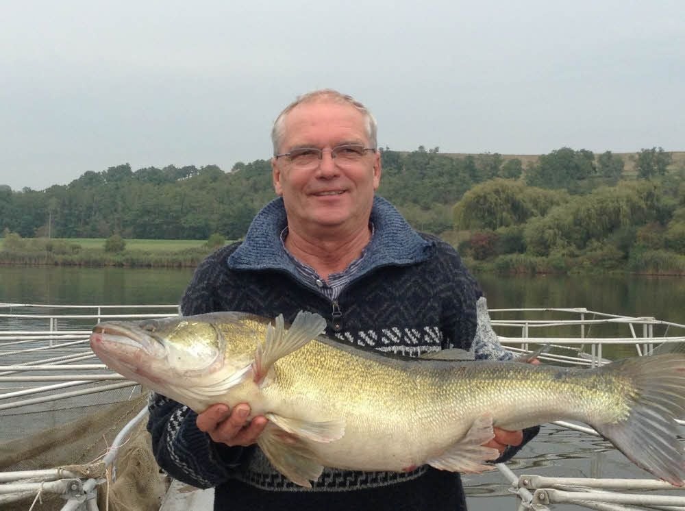 Ulrich Kulawik, Chef des Fischerhofs, mit einem großen Zander