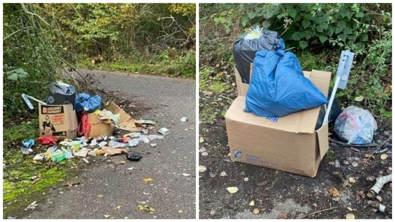 Müll, am Wegesrand zur Sandersdorfer Förstergrube verstreut