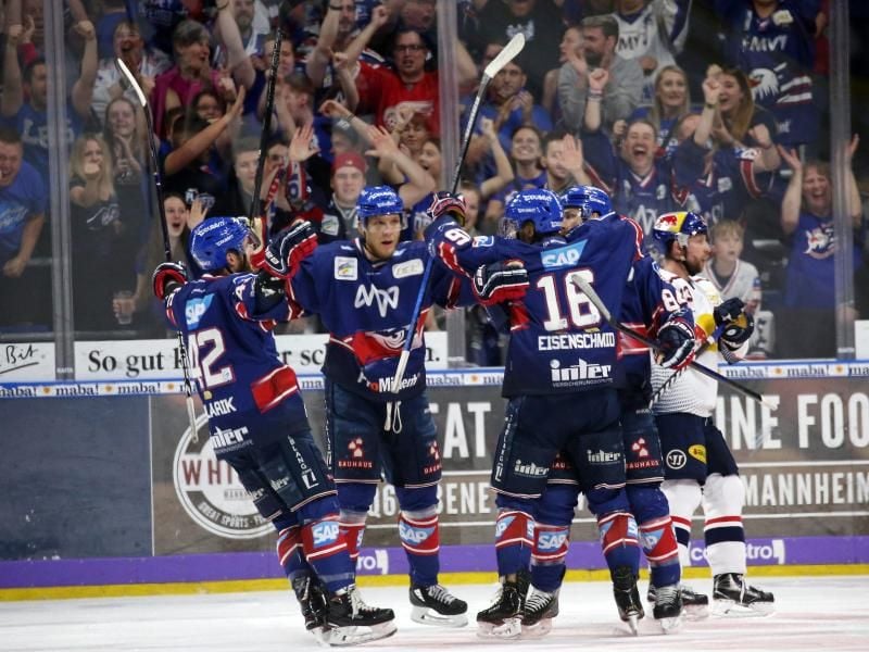 Heimfluch gegen München beendet - Adler Mannheim in DEL auf Titelkurs. Foto: Michael Deines