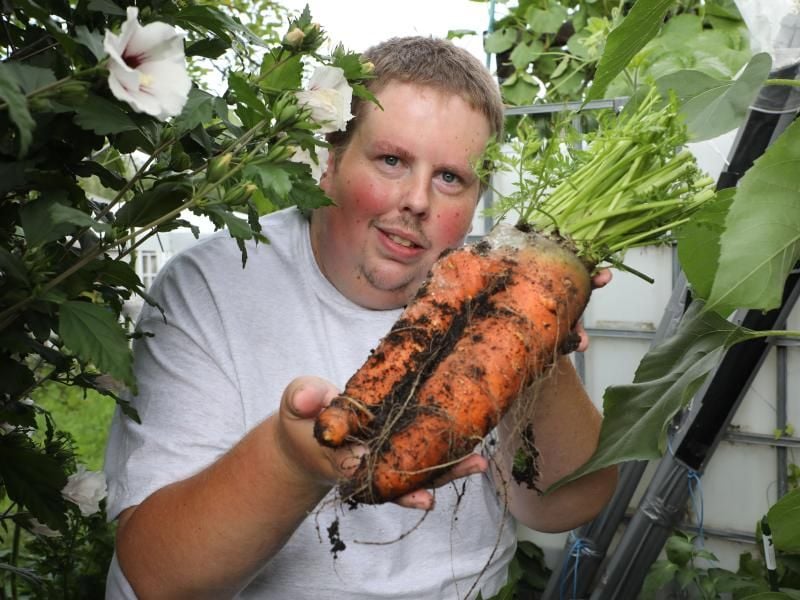 Patrick Teichmann, Riesengemüsezüchter aus Thüringen, zeigt seine Riesenmöhren. Foto: Bodo Schackow/dpa-Zentralbild/dpa