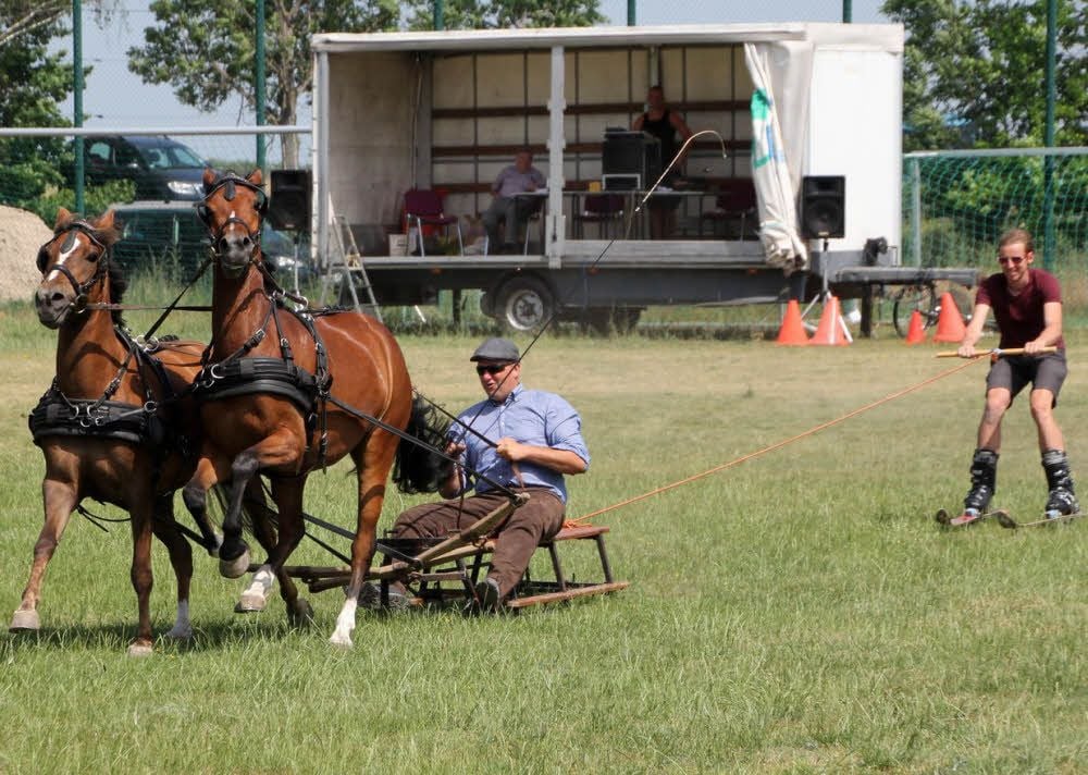 Wintersport mitten im Sommer beim Ponyfest – Ingo Hellmann sitzt auf dem vom Gespann gezogenen Schlitten, Andreas Dube (rechts) lässt sich auf Skiern über den Rasen ziehen.