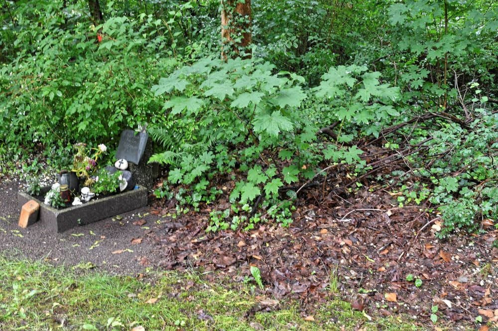 Der Pflegezustand des Friedhofs in der Berliner Straße ist in ihren Augen verbesserungswürdig.