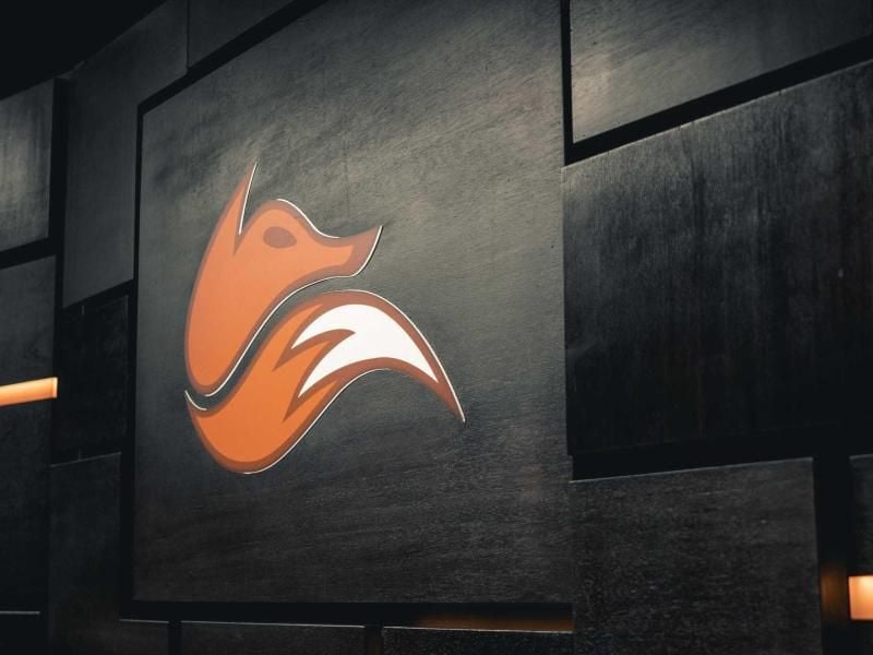 Riot Fox muss nach Rassismus-Vorwürfen Konsequenzen ziehen. Foto: Riot Games