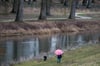 Ein Spaziergänger mit Hund läuft am Ufer eines Flusses.