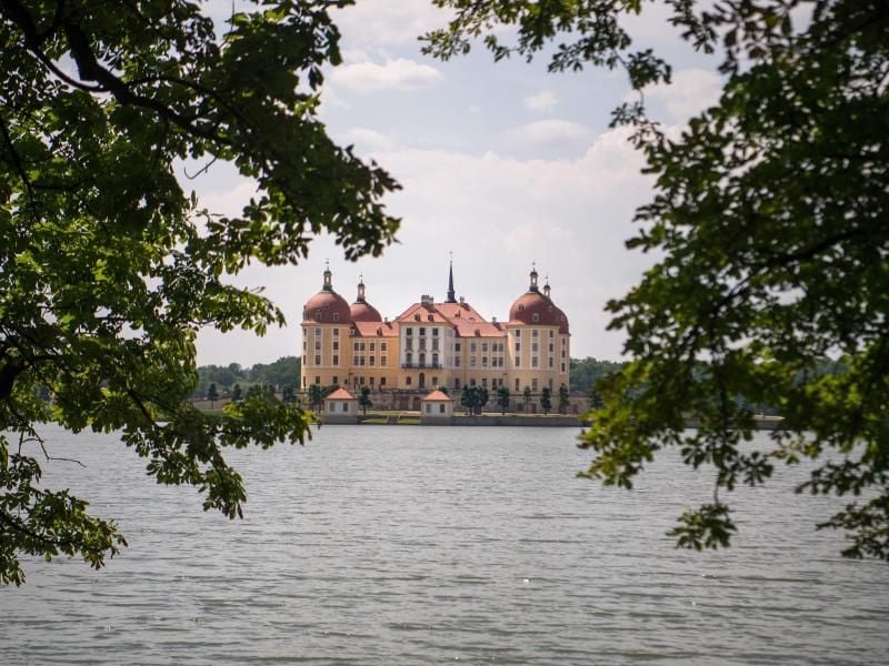 Blick auf das Schloss Moritzburg und den Schlossteich. Foto: Monika Skolimowska
