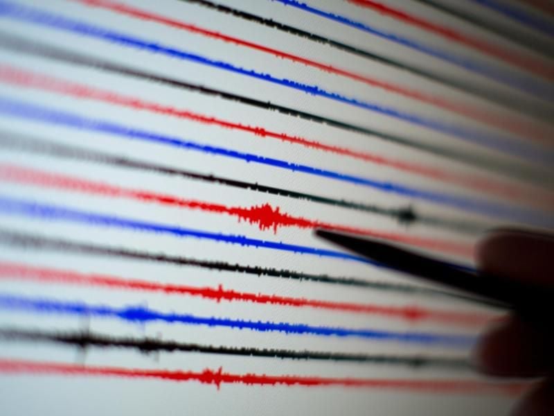 Seismogramm einer Erdbebenstation. Westlich der griechischen Mittelmeerinsel Kreta ist es zu einem Seebeben der Stärke 5,2 gekommen. Foto: Martin Gerten/Symbol