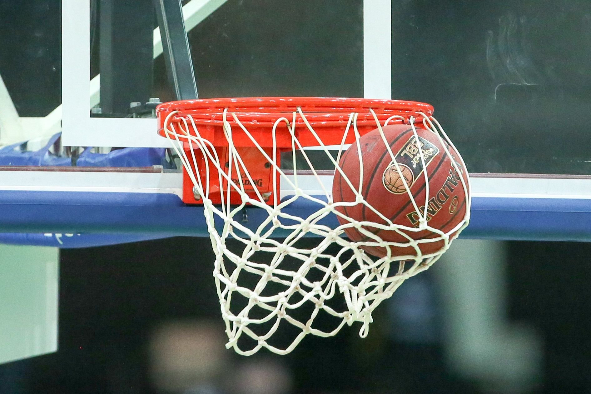 Die Basketballer aus Weißenfels dürfen sich auf ein Pokalspiel gegen Bayern München freuen.