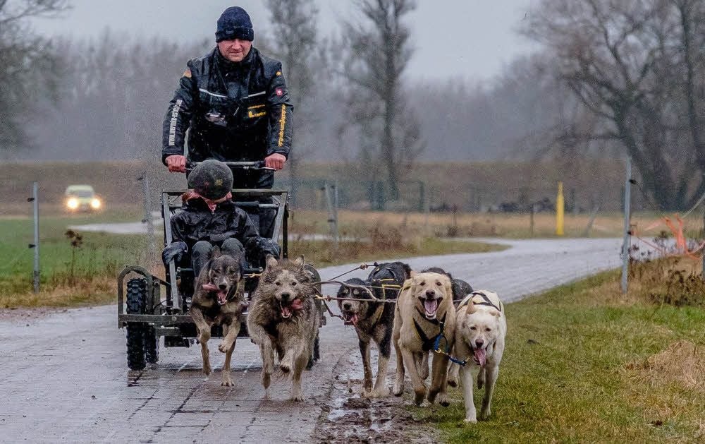 Der Meister wird im Training gemacht. Der Schleesener Silvio Spruth (im Bild mit Tochter Mia) ist bei jedem Wetter mit seinen Hunden unterwegs.