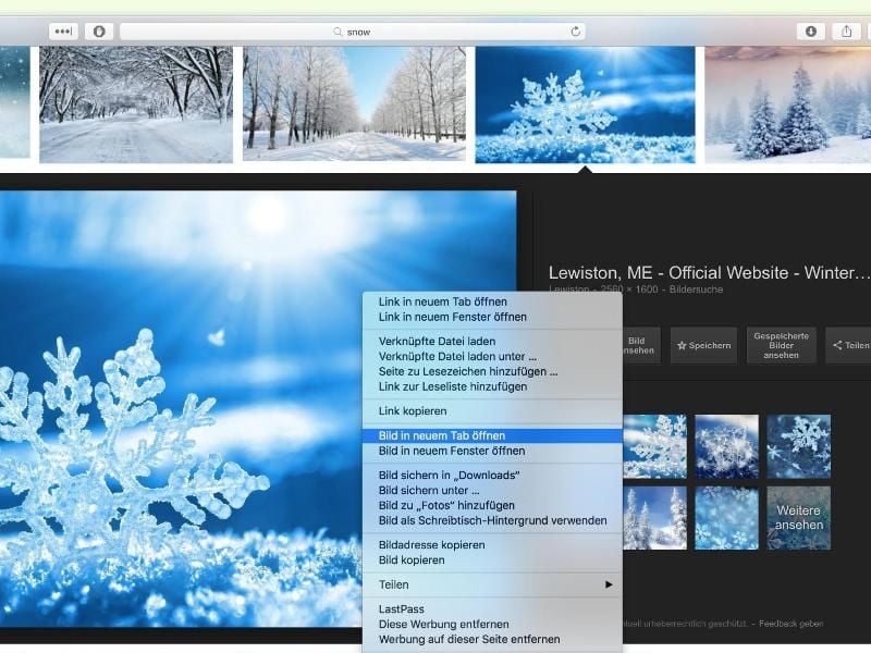 Wer Bilder extra in einem neuen Tab angezeigt haben möchte, kann dies mit nur einem Klick erreichen. Foto: dpa-infocom