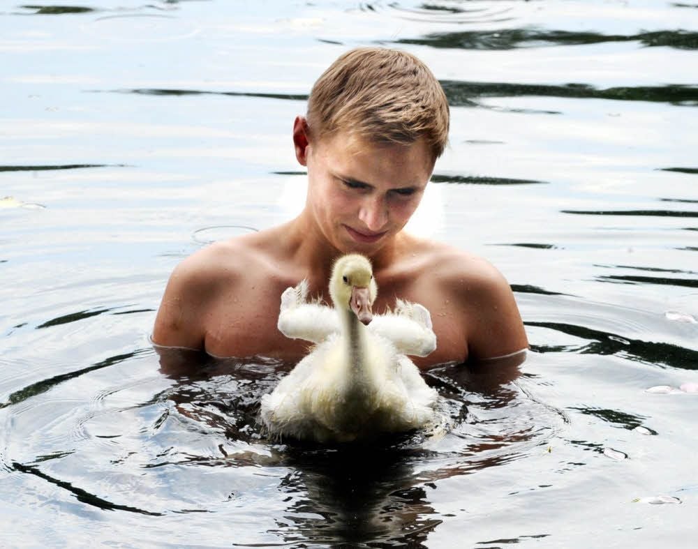 Zum Baden fahren Florian Zieske und seine Gans Martin des Öfteren ans Tonloch in Hettstedt.