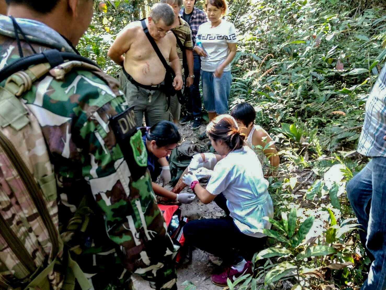 Eine französische Touristin ist im Khao-Yai-Nationalpark von einem Krokodil angefallen worden.