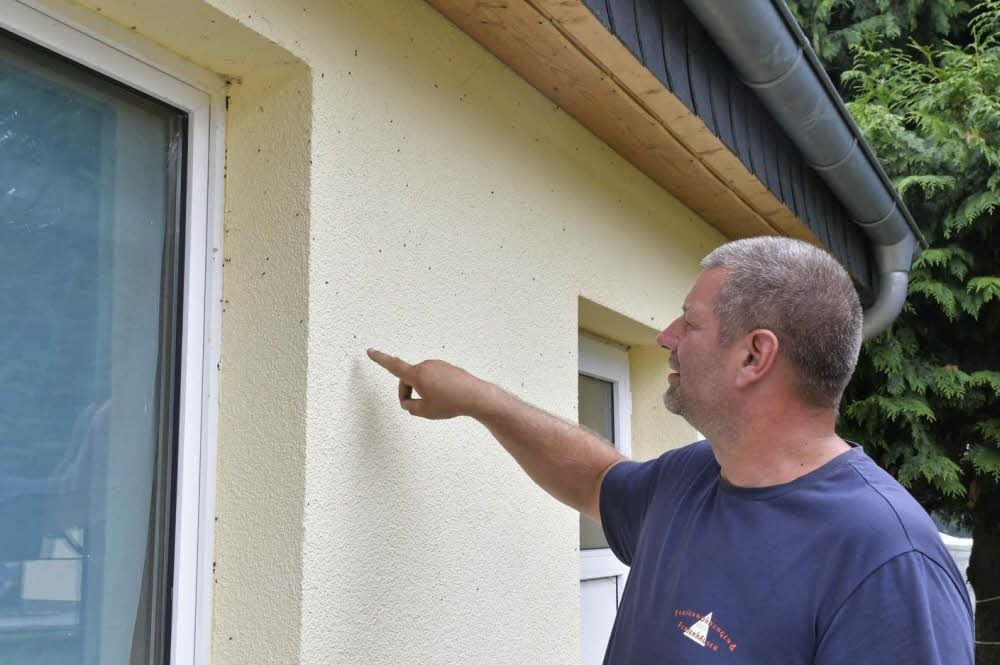 Lutz Büttner vor einem der Gebäude auf dem Grundstück - Wanzen besiedeln das ganze Areal.