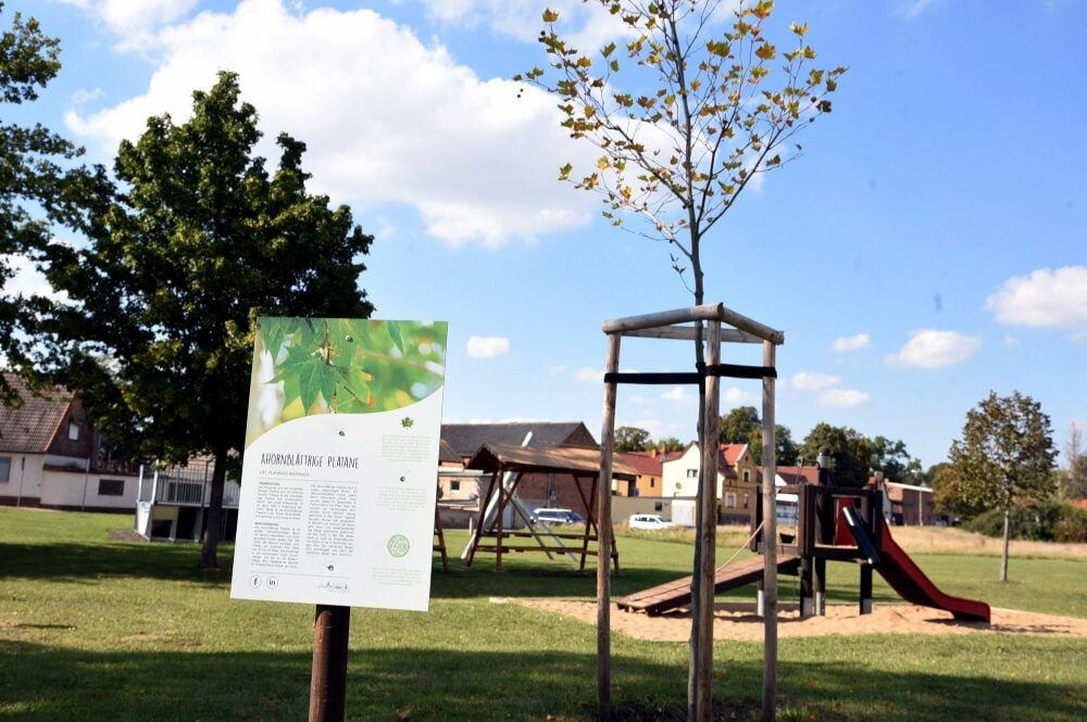 Auf dem Radegaster Spielplatz hatte der Verein für kleinere Kinder bereits eine Matschanlage gebaut.