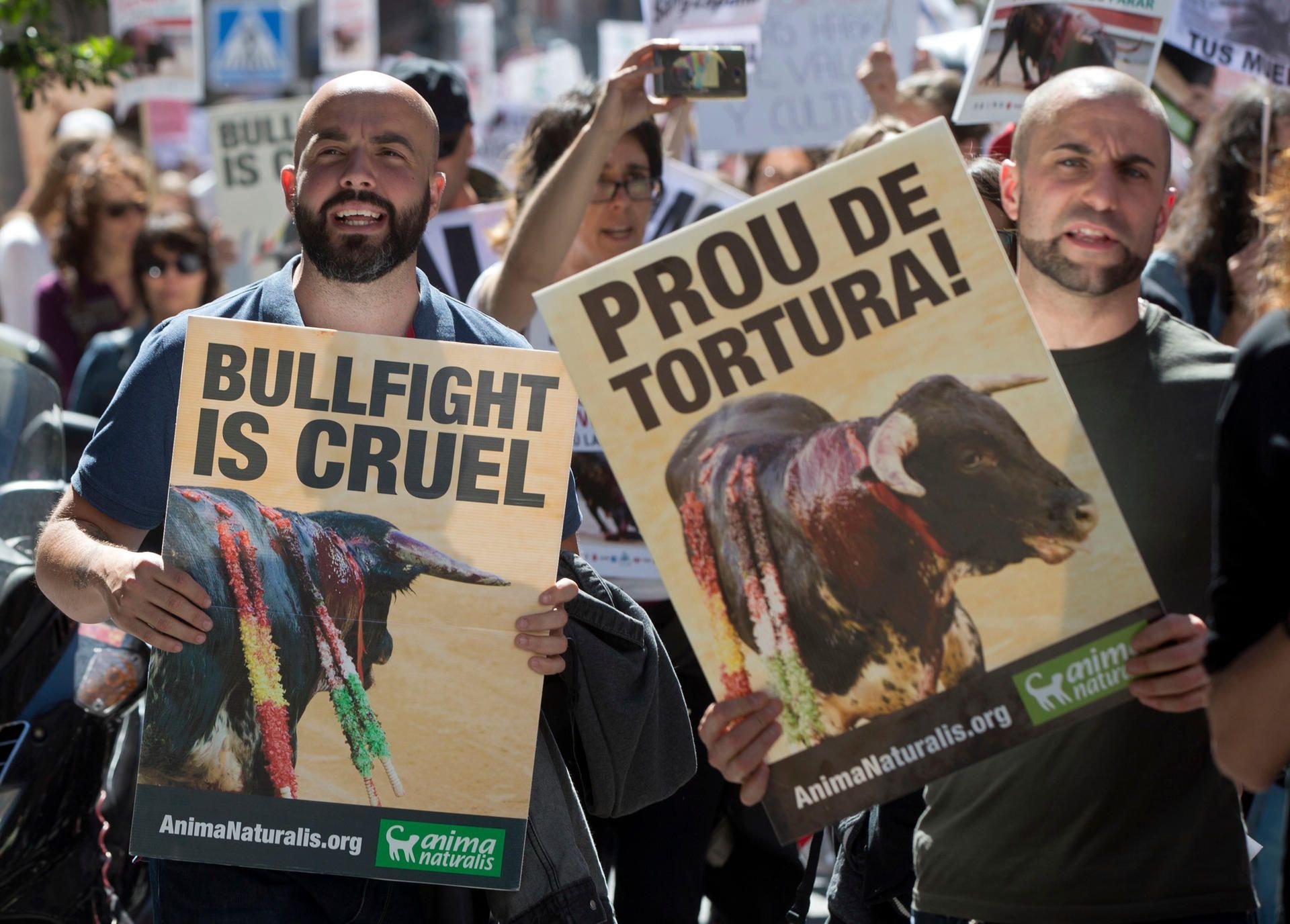 Das Thema Stierkampf entzweit die spanische Bevölkerung – für viele sind die Kämpfe Tradition. Gegner sehen darin nur brutale Tierquälerei.
