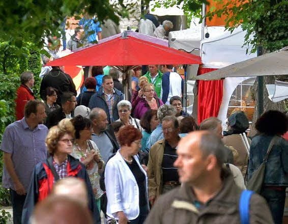 Die Besucher kamen trotz Regens.