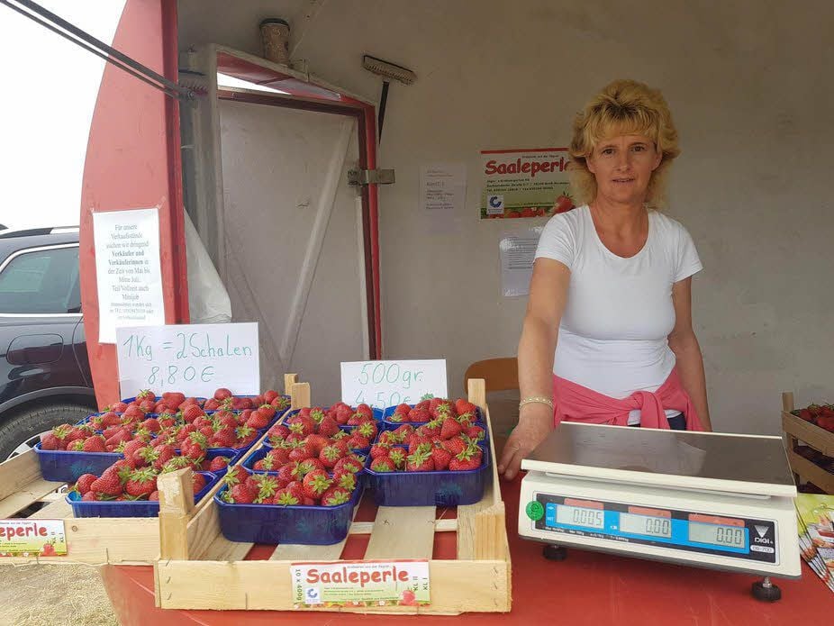 Ilona Schmidt verkauft in diesem Jahr Erdbeeren in Wülknitz.