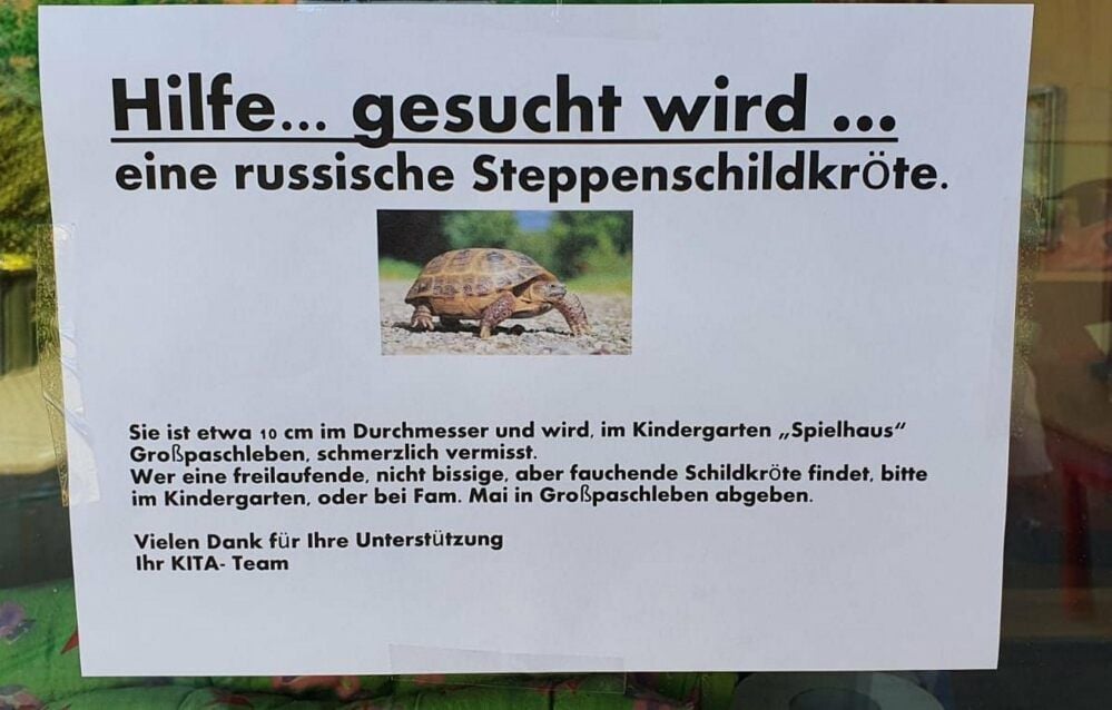 Die Kindertagesstätte hat eine Suchaktion gestartet.
