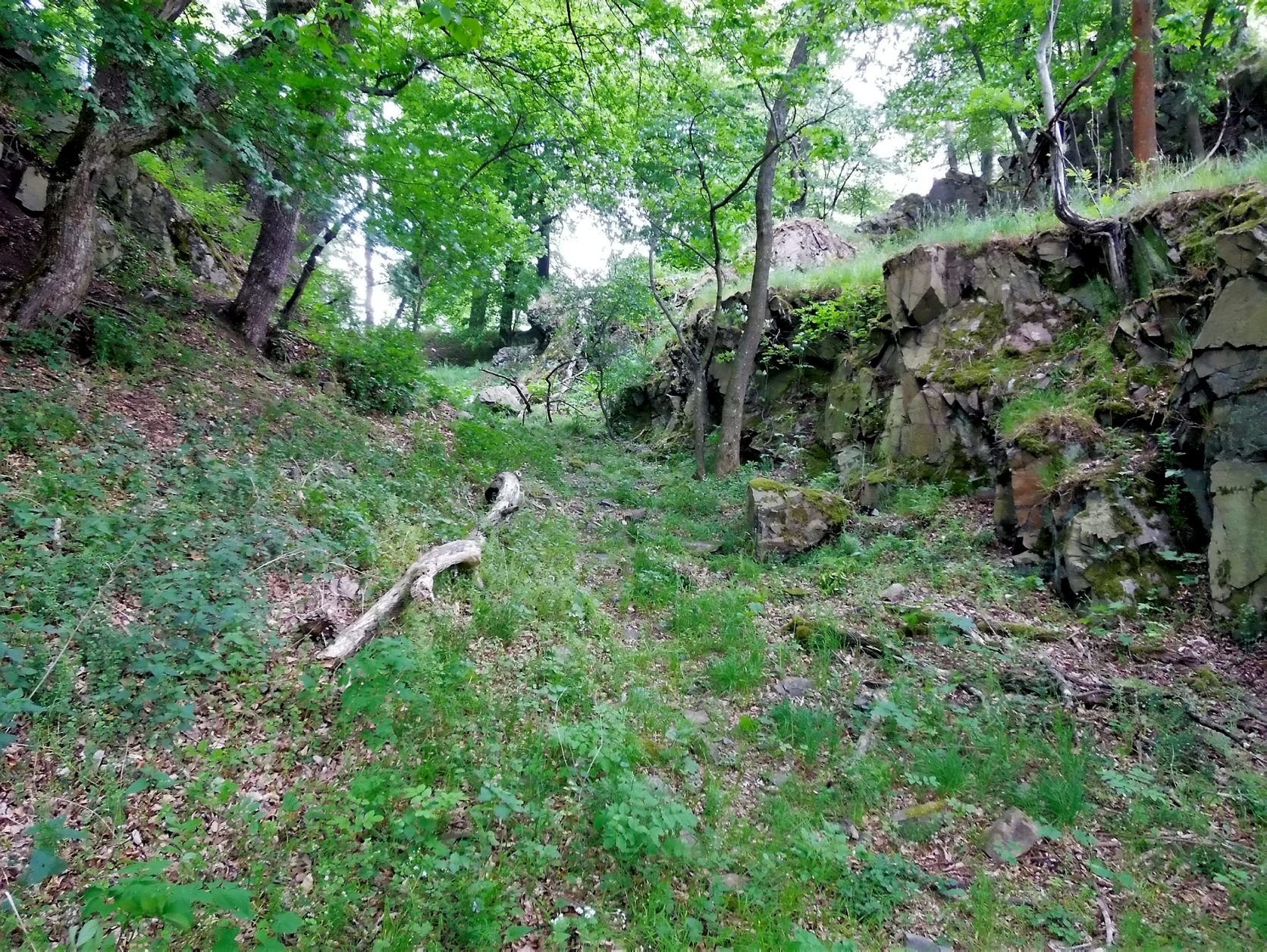 Die verwitterten Festungsgräben der Burg Alter Falkenstein sind noch gut zu erkennen und lassen das Ausmaß erahnen, welche Ausmaße dieser Burgstall mit seiner damaligen Länge von etwa 200 Meter gehabt haben muss.