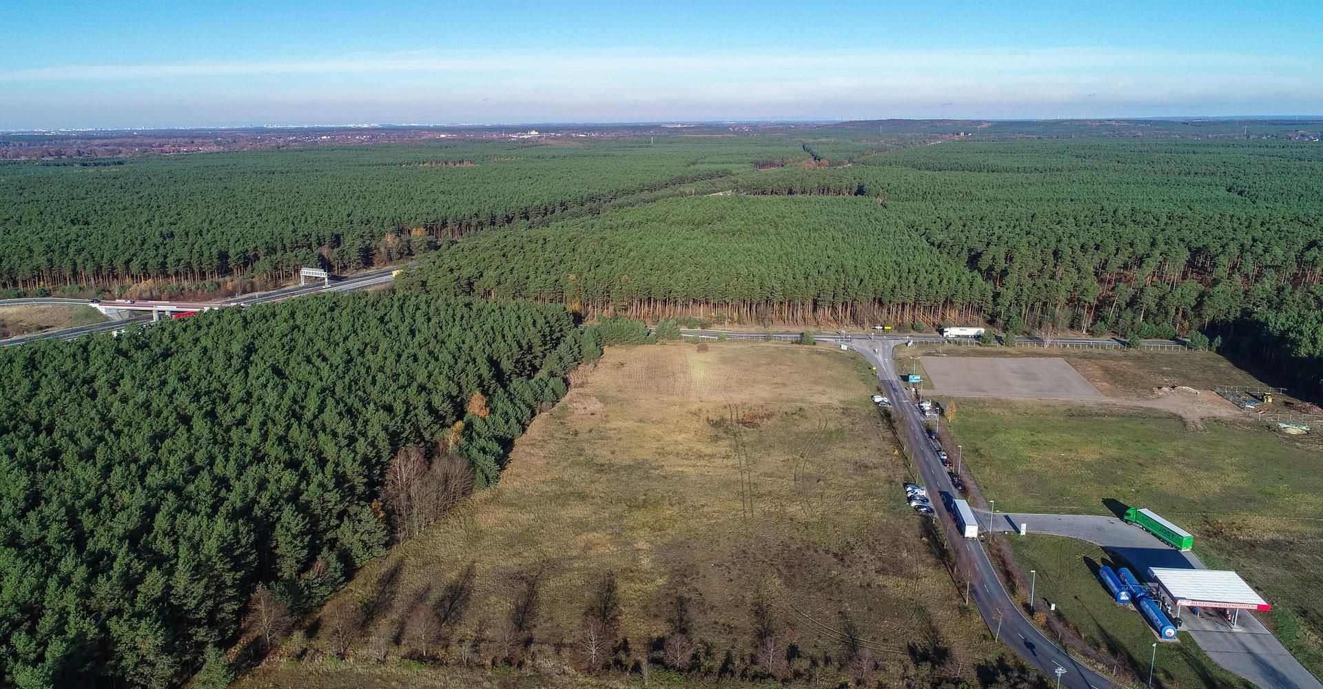In dem riesigen Waldgebiet in Brandenburg plant Tesla den Bau einer Fabrik.