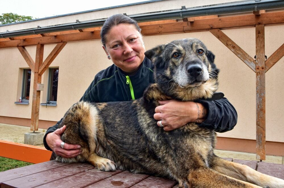 Dessaus neue Tierheimleiterin Anja Wicke mit Hund Jimmy
