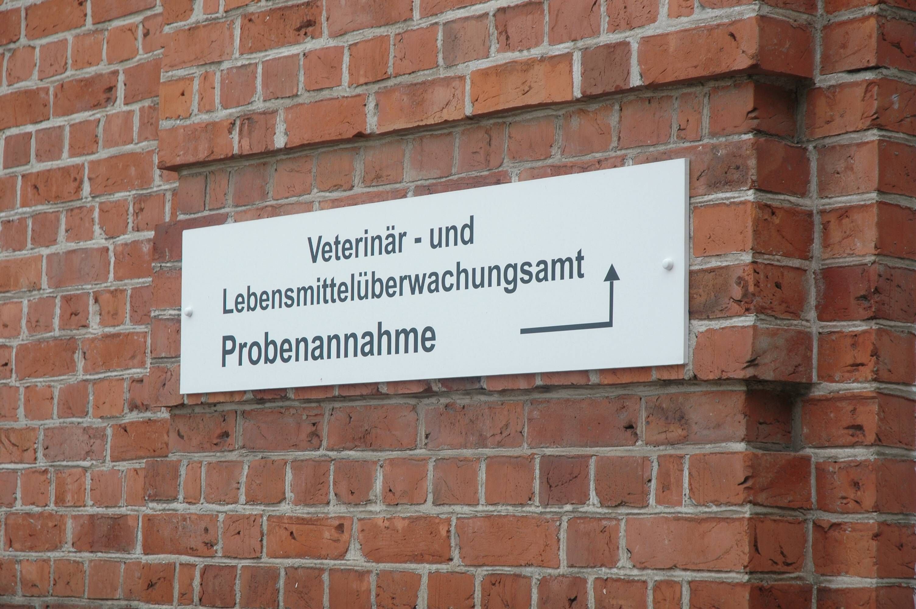 Das Veterinäramt des Landkreises hat noch einmal eindringlich auf die hierzulande geltenden Bestimmungen zum Schlachten von Tieren hingewiesen.