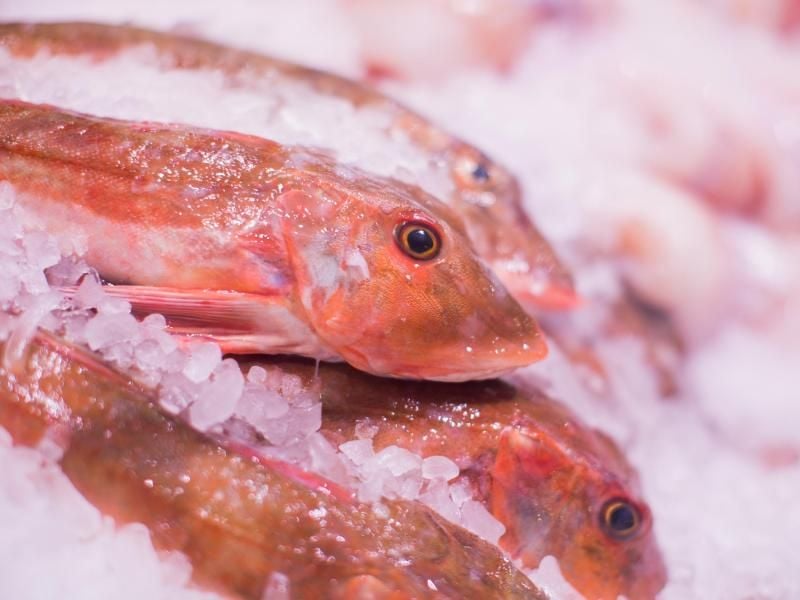 20,5 Kilogramm Fisch werden weltweit pro Kopf und Jahr verzehrt. Foto: Rolf Vennenbernd/dpa