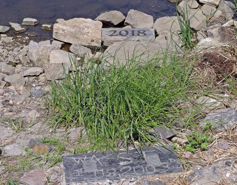 Wer den so genannten Hungerstein 2018 in der Elbe deponiert hat, weiß der Landesbetrieb für Hochwasserschutz und Wasserwirtschaft nicht.