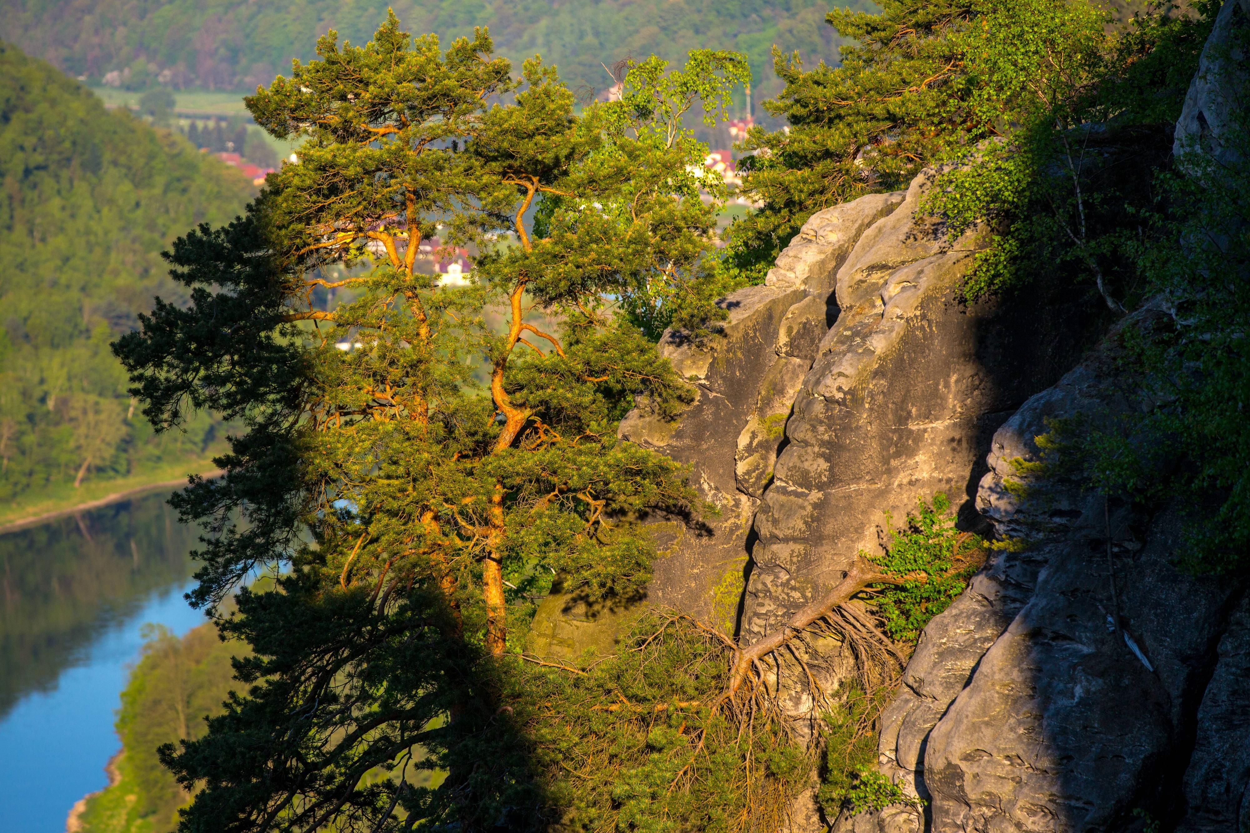 Das Elbsandsteingebirge der Sächsischen Schweiz
