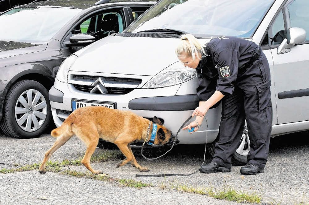 Diensthund „Abby“ und Polizeikommissarin Isabelle von Durschefsky beim Training.