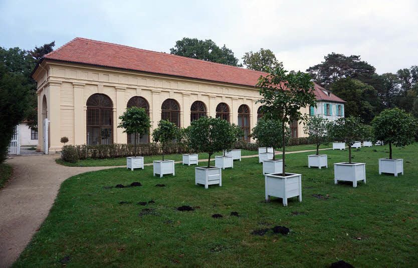 Steht derzeit leer: die Gaststätte im Luisium.
