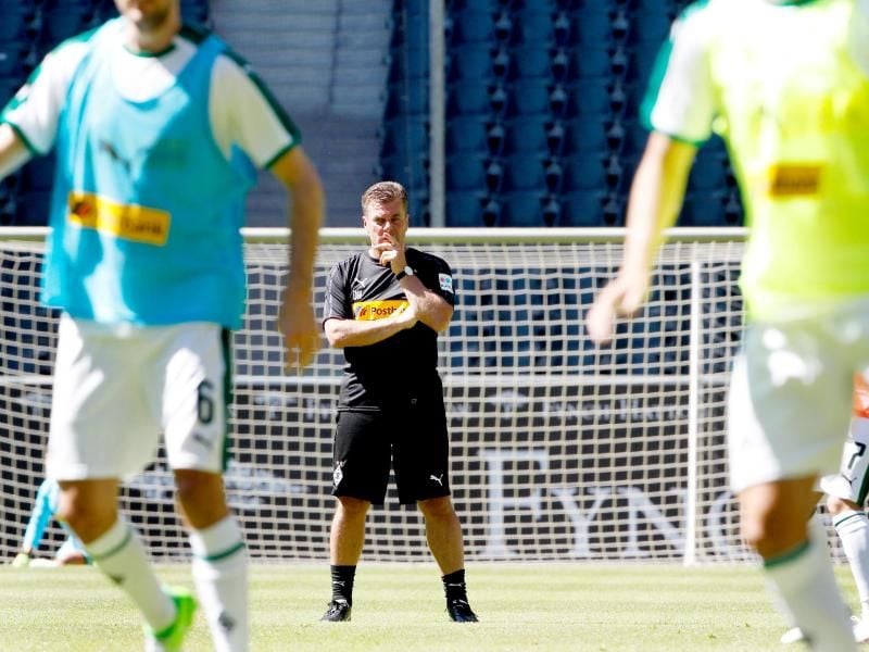 Die Gladbacher wollen mit und für Trainer Dieter Hecking einen Sieg gegen Werder holen. Foto: Roland Weihrauch/dpa