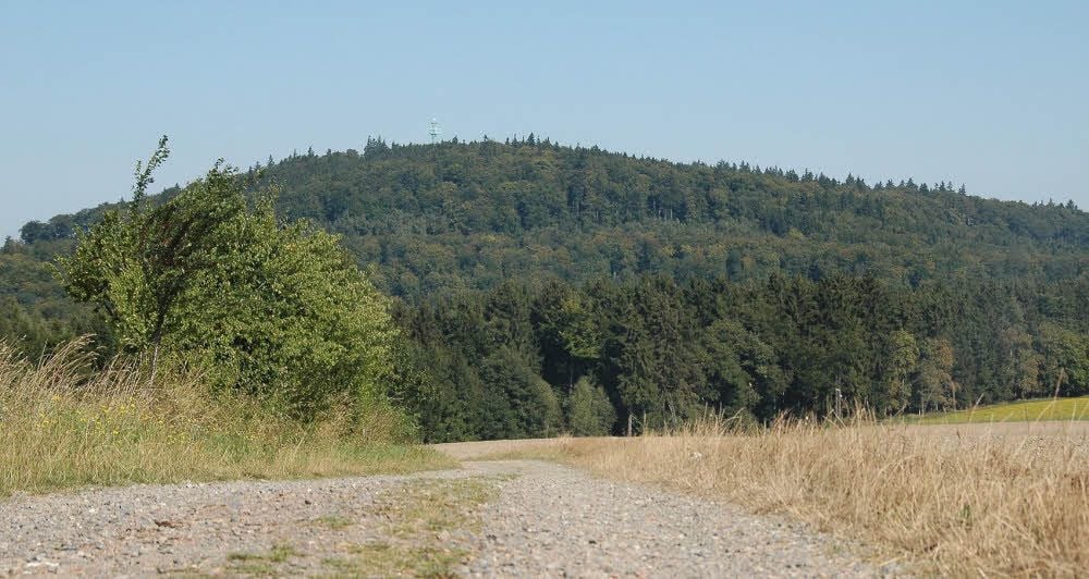 Der Auerbergkegel besteht aus Quarzporphyr, einem Tiefengestein, welches goldhaltig sein kann.