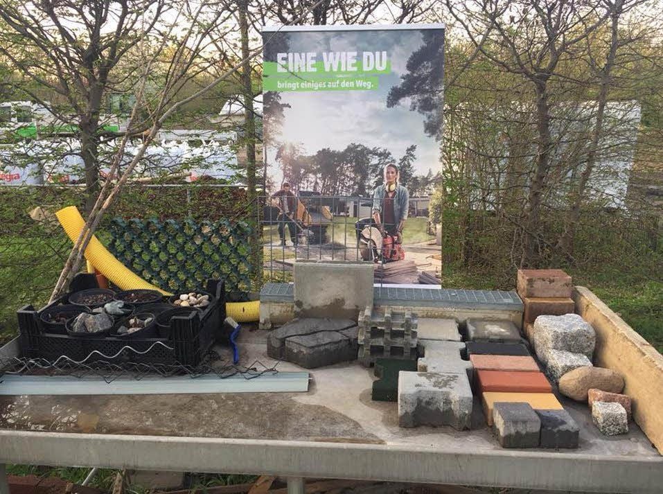 Auch das Gartenbau-Unternehmen muss sich um geeignete Bewerber bemühen. In der Branche bleiben regelmäßig Lehrstellen unbesetzt.