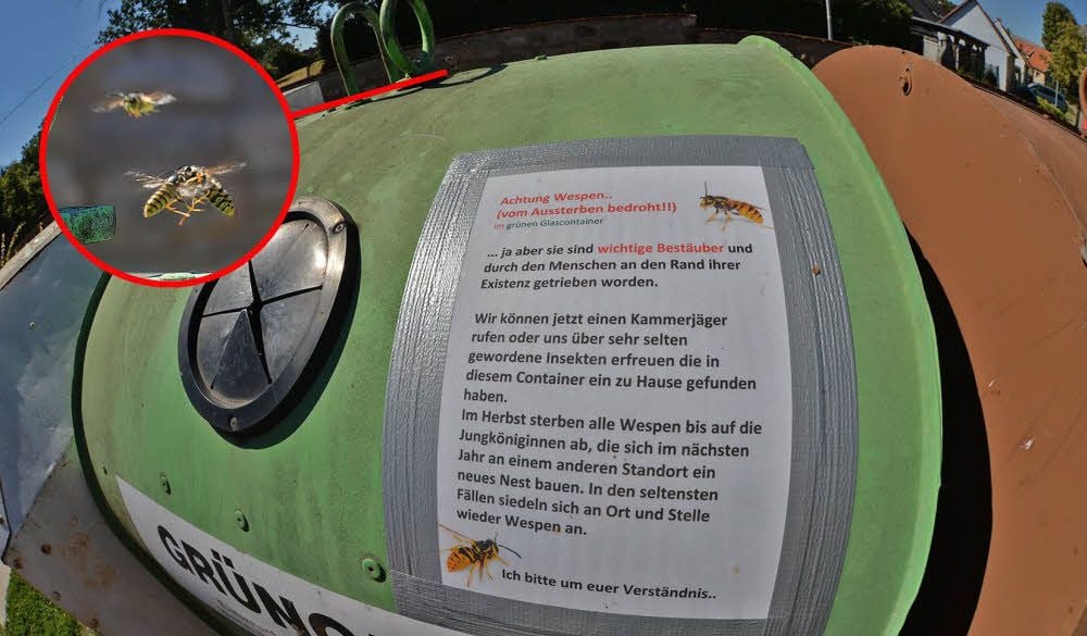 Untermieter im Glascontainer: Ein Tierfreund bittet per Zettel um Verständnis für die bedrohten Wespen.