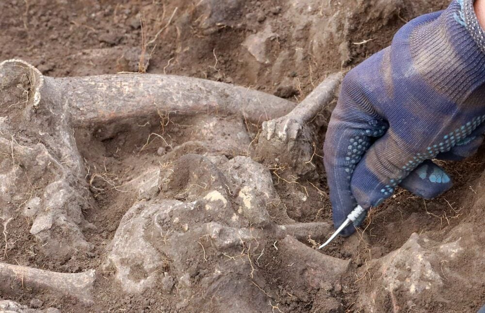 Mit feinem Werkzeug werden die Funde freigelegt. In den Boden zu kommen, ist mühsam. Die Erde ist mehrere Meter tief hart wie Beton.