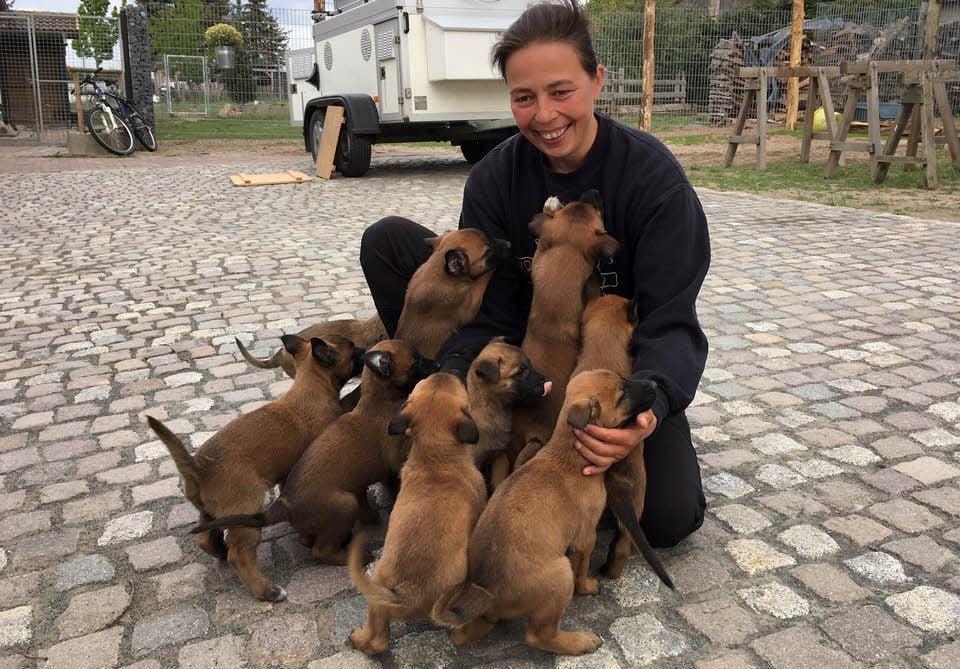Stephanie Marx mit Malinois-Welpen