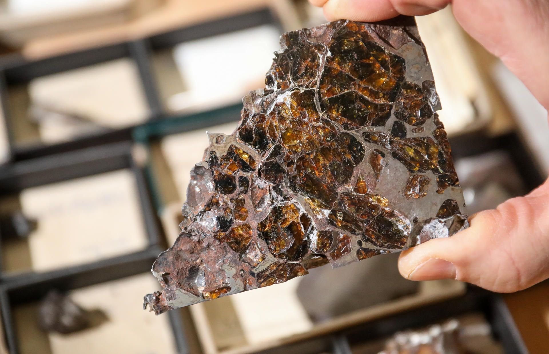 Sammlungsleiter Degen zeigt einen Pallasit aus der Meteoritensammlung
