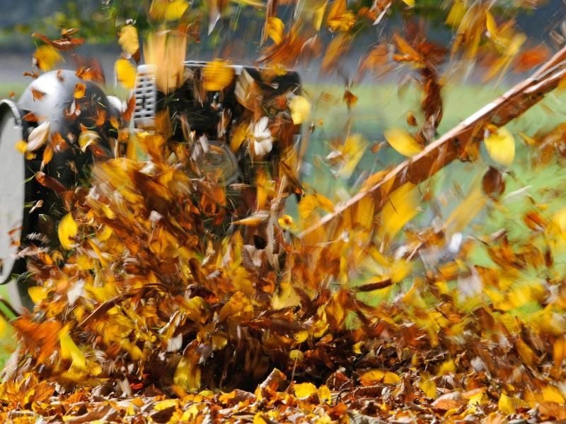 Geräte, die die Arbeit erleichtern, sind praktisch aber nicht immer umweltfreundlich. Laubsauger zum Beispiel töten Insekten und Frösche. Foto: Ronald Wittek