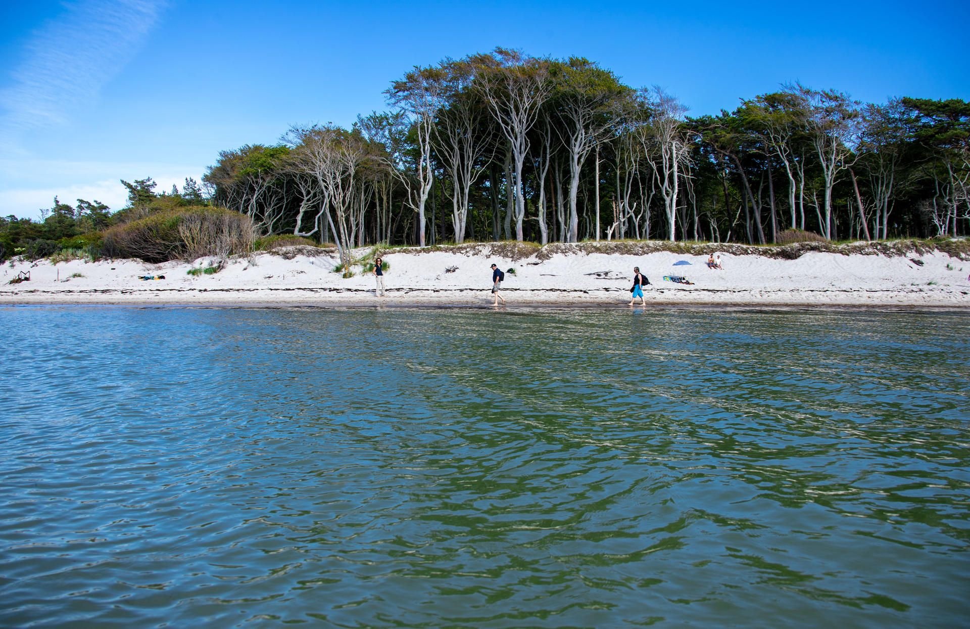 Die Halbinsel Fischland-Darß-Zingst