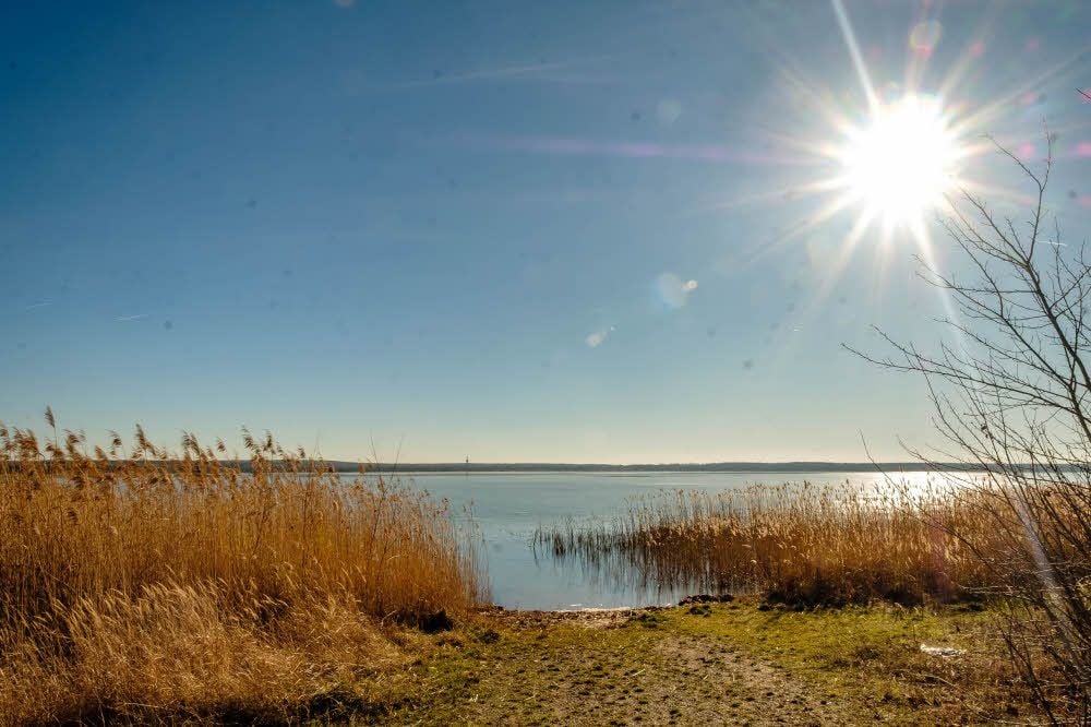 Der Gröberner See. Von der Gräfenhainichener Seite aus ist Baden verboten.