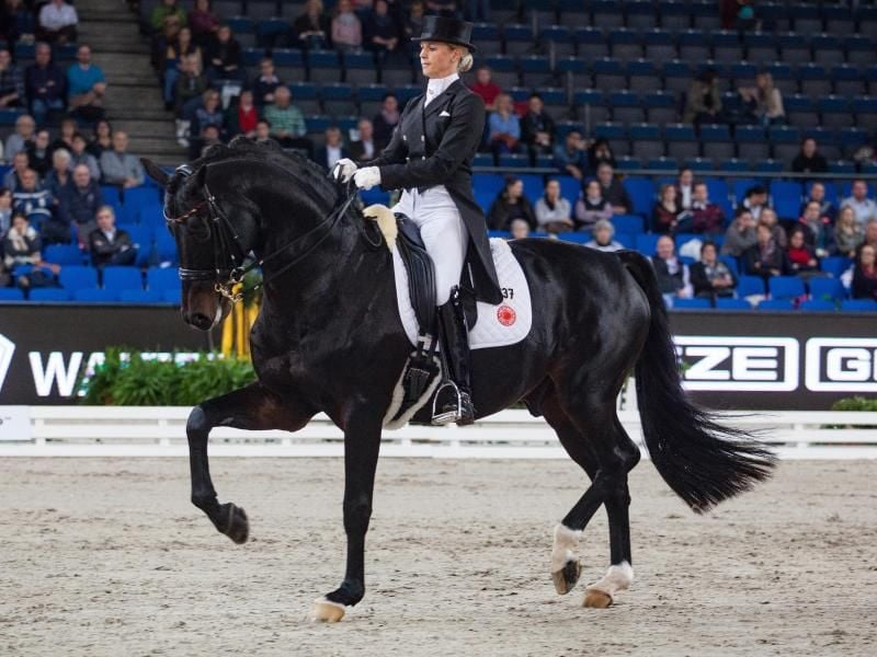 Isabell Werth auf ihrem Pferd Don Johnson. Foto: Christoph Schmidt