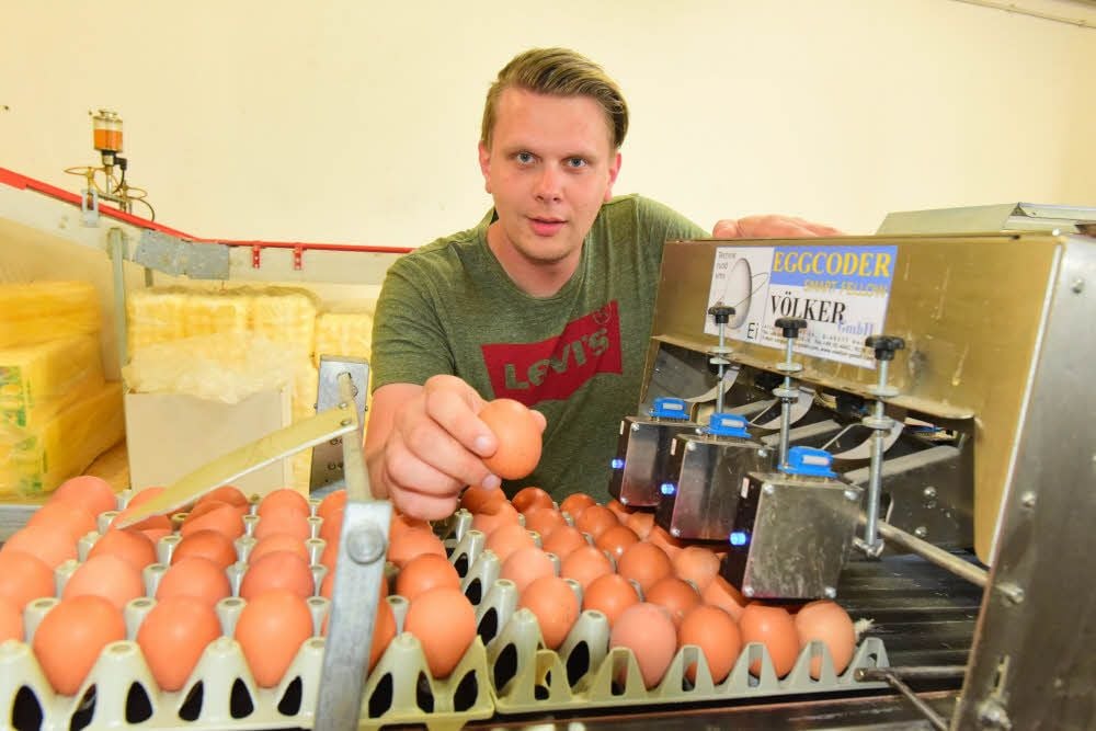 Landwirt Christian Geßner hat jetzt nicht nur mit Eiern, sondern vor allem mit Bürokratie zu tun - obwohl er Fipronil gar nicht benutzt.