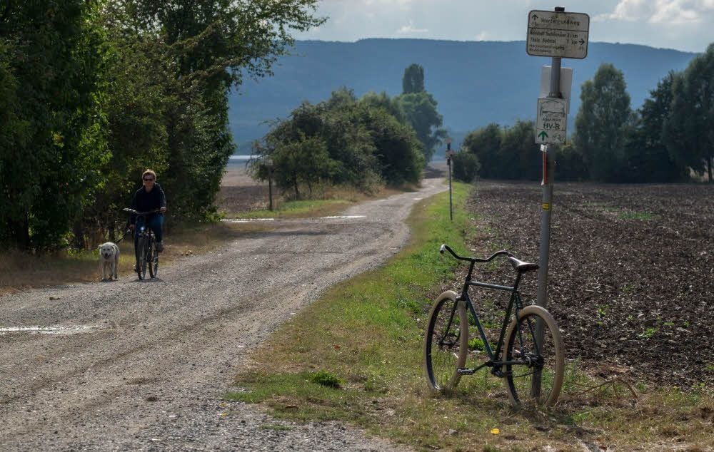 Der Neinstedter Feldweg soll künftig Radfahrer auf dem Europaradweg R 1 von Quedlinburg nach Thale führen.