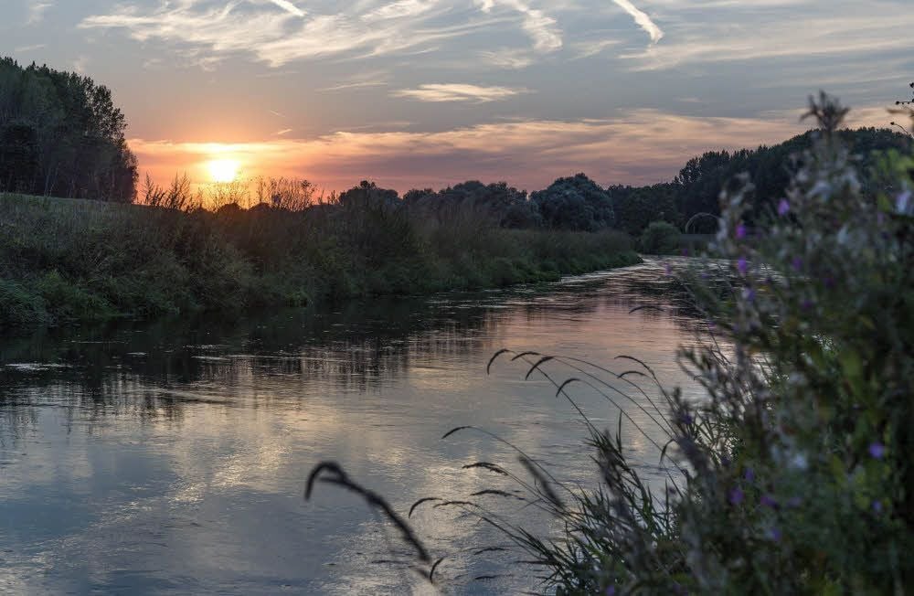 So romantisch fließt die Weiße Elster bei Ermlitz. Der Fluss hat aber auch ein anderes Gesicht, wie das Hochwasser 2013 zeigte.